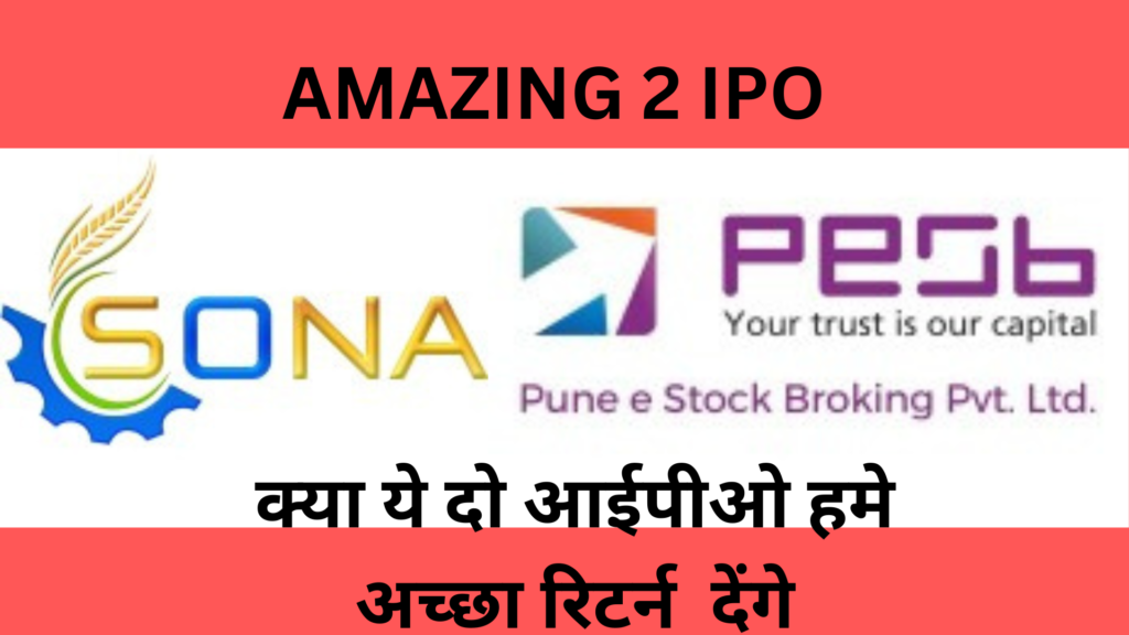 Pune E-Stock Broking IPO